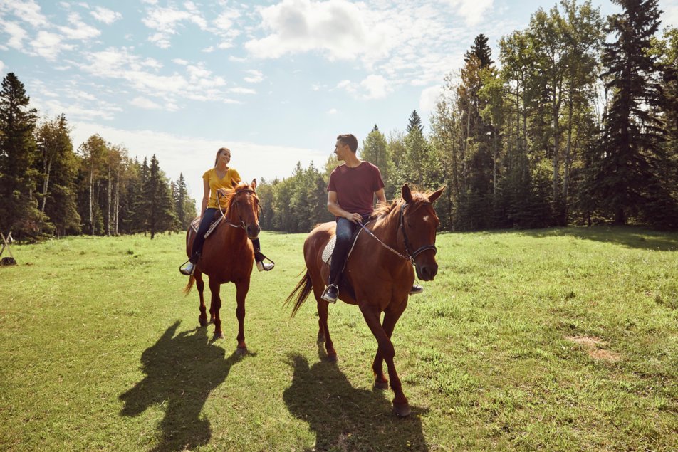 A man and a woman are riding horses in a sunny green field.
