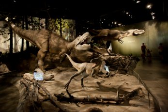 Dinosaur exhibit in the Royal Tyrrell Museum