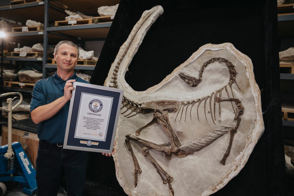 A man holding a framed Guinness World Records certificate stands beside a dinosaur fossil.