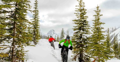 People ride fat bikes over a snowy trail with trees and mountains in the background.