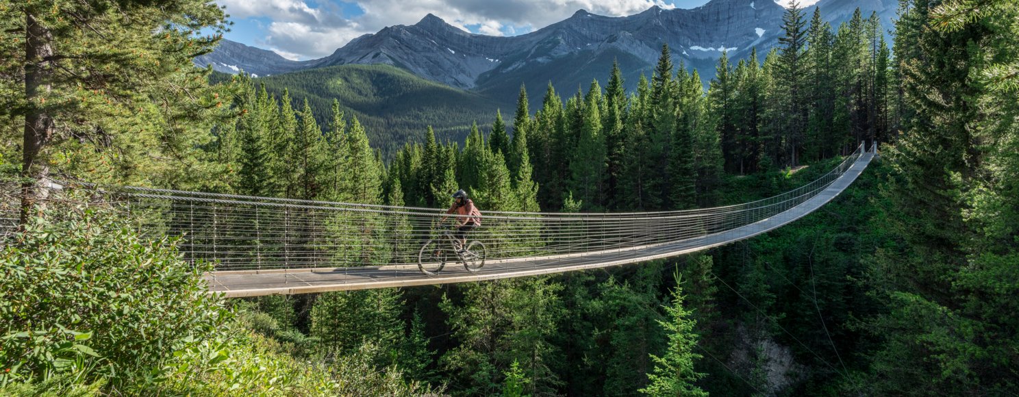 A cyclist rides across suspension bridge with mountains and trees in the background.